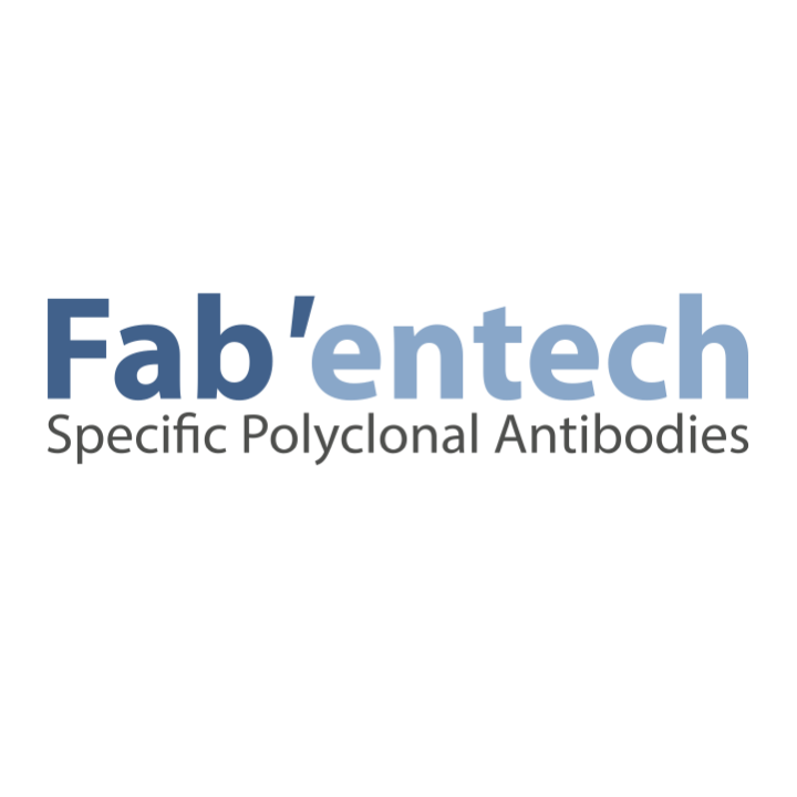 Fabentech_logo